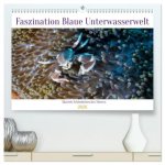 Faszination blaue Unterwasserwelt (hochwertiger Premium Wandkalender 2026 DIN A2 quer), Kunstdruck in Hochglanz