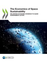 The Economics of Space Sustainability