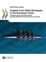 Insights from Skills Strategies in the European Union