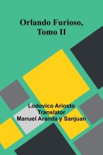 Orlando Furioso, Tomo Ii