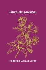 Libro De Poemas