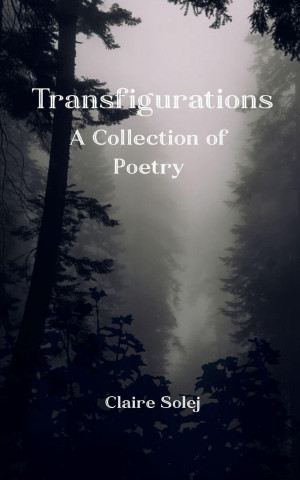 Transfigurations