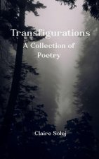 Transfigurations