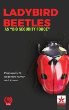 Ladybird Beetles