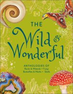 Little Anthologies Boxed Set