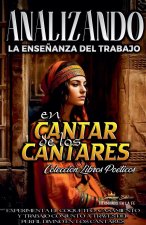Analizando la Enseñanza del Trabajo en Cantar de los Cantares