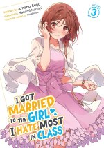 I GOT MARRIED TO THE GIRL I HATE V03