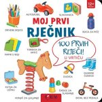 Moj prvi rječnik - 100 prvih riječi u vrtiću