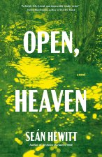 OPEN HEAVEN