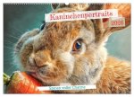 Kaninchenportraits - Szenen voller Charme (Wandkalender 2026 DIN A2 quer), CALVENDO Monatskalender