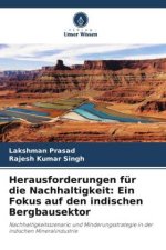 Herausforderungen für die Nachhaltigkeit: Ein Fokus auf den indischen Bergbausektor