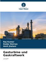 Gasturbine und Gaskraftwerk
