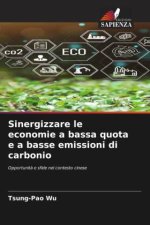 Sinergizzare le economie a bassa quota e a basse emissioni di carbonio