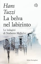 belva nel labirinto. Le indagini di Norberto Melis