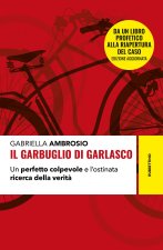 garbuglio di Garlasco. Un perfetto colpevole e l'ostinata ricerca della verità