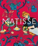 MATISSE THE BIGGER PICTURE