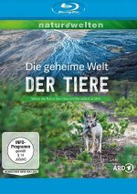 Die geheime Welt der Tiere