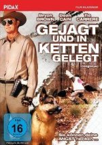 Gejagt und in Ketten gelegt