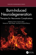 Burn-Induced Neurodegeneration