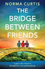 The Bridge Between Friends