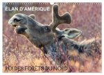 ÉLAN D'AMÉRIQUE - ROI DES FORÊTS DU NORD (Calendrier mural 2026 DIN A3 vertical), CALVENDO calendrier mensuel