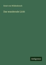 Das wandernde Licht