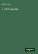 Meine Gefängnisse