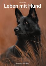 Leben mit Hund