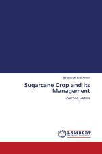 Sugarcane Crop and its Management