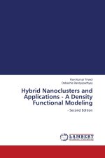 Hybrid Nanoclusters and Applications - A Density Functional Modeling