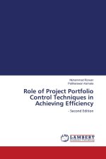 Role of Project Portfolio Control Techniques in Achieving Efficiency