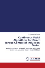 Continuous PWM Algorithms for Direct Torque Control of Induction Motor