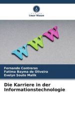Die Karriere in der Informationstechnologie