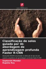 Classificação de solos guiada por IA: abordagem de aprendizagem profunda Faster R-CNN
