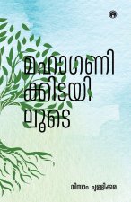 Mahaganikkidayiloode|Nine Stores by Nizam Chullikkara|INSIGHT PUBLICA