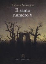 santo n. 6