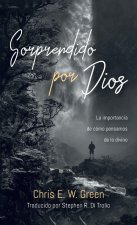 Sorprendido por Dios
