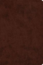 ESV Compact Bible, Red Letter (Trutone, Brown)