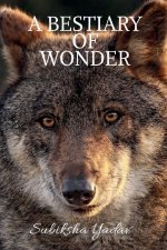 A Bestiary of Wonder