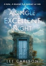A Single Excellent Night