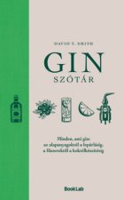 Ginszótár