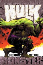 INCREDIBLE HULK RETURN OF MONSTER OMNI