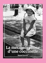 La métamorphose d’une coccinelle