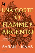 corte di fiamme e argento