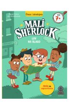 Mali Sherlock: Lov na blago