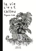 La vie c'est caillou