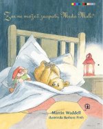 Zar ne možeš zaspati, Medo Mali?