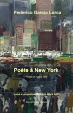 Poète à New York, Federico Garcia Lorca, Poeta en Nueva York, traduit et présenté par Monique-Marie