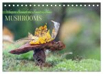 Whispers Beneath the Forest's Moss Mushrooms (Desk Calendar 2026 DIN A5 landscape), CALVENDO 12 Month DeskCalendar