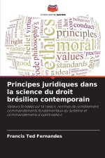 Principes juridiques dans la science du droit brésilien contemporain